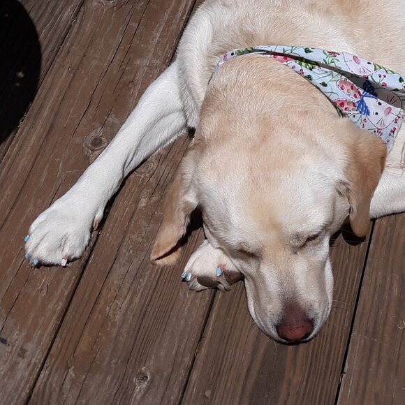 Meet your Posher, Francine - Picture 3 of 4